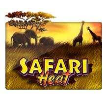 Joker123 : Safari Heat - POCKETSLOT777